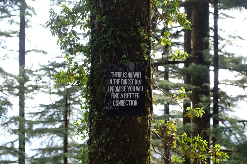Signs of nature - Landour, Uttarakhand, India