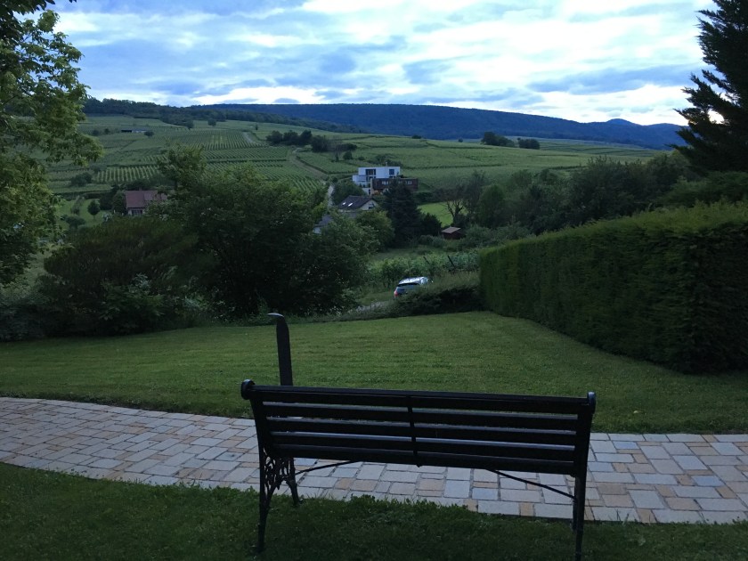 Hotel with a view of vineyards in Alsace